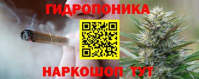 молекула духа Бузулук